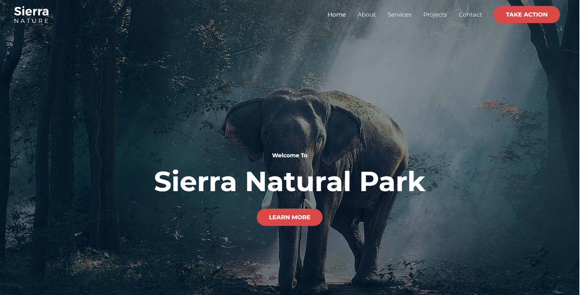 Sierra Nature